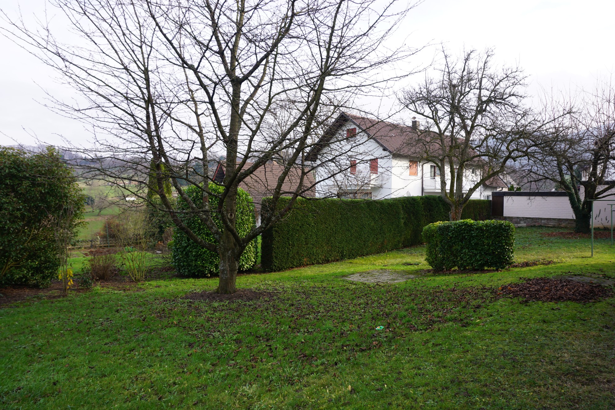 Blick zum Grundstück 1