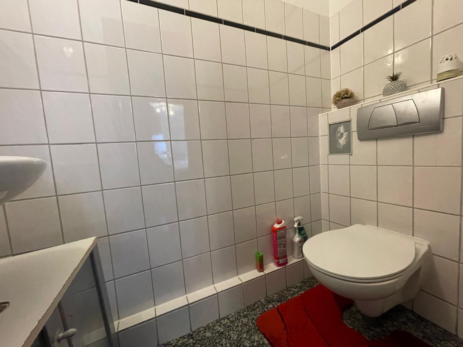 Gäste-WC (2) Gäste-WC (2)