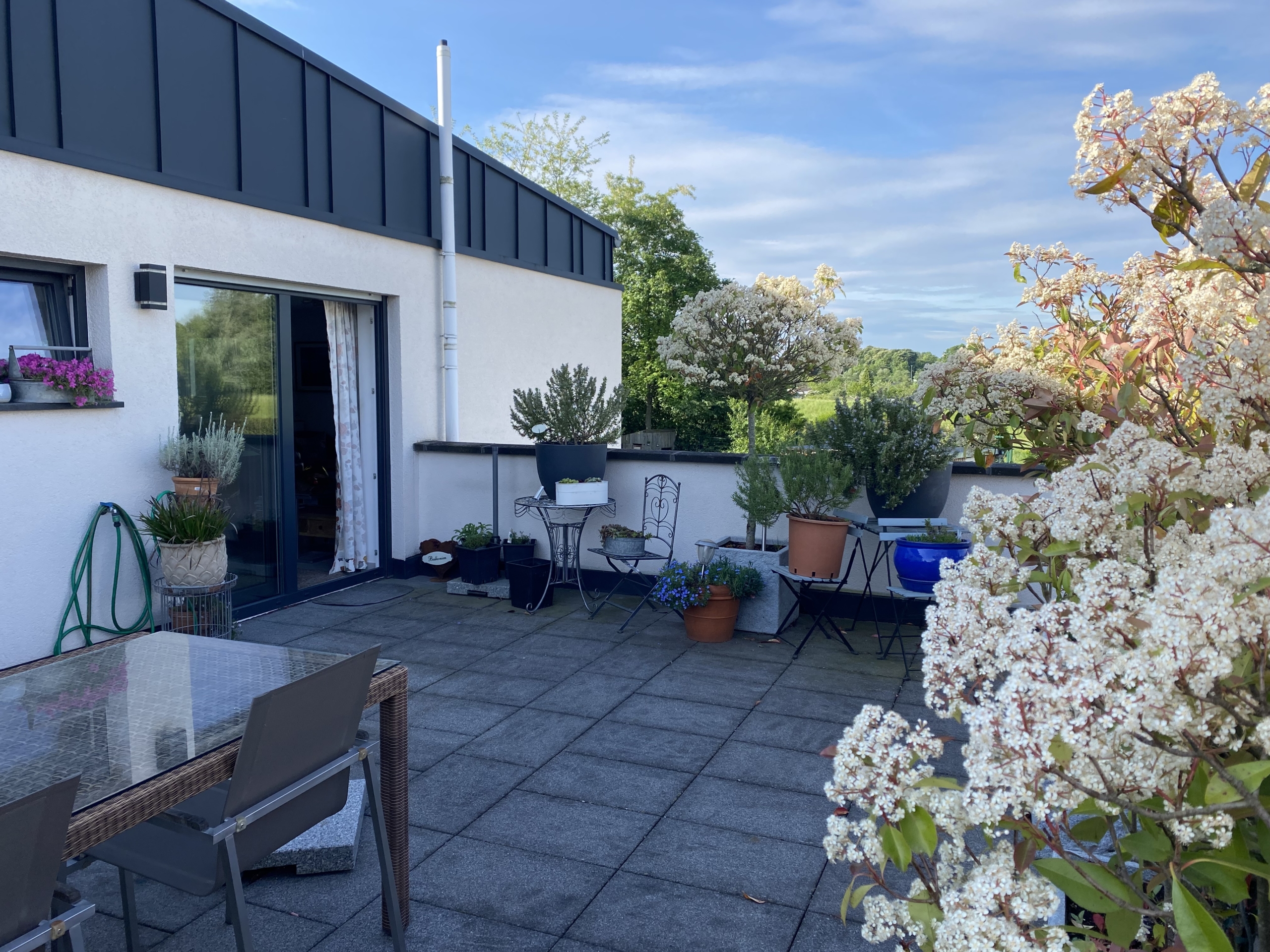 Blick zur Terassentür Blick zur Terassentür